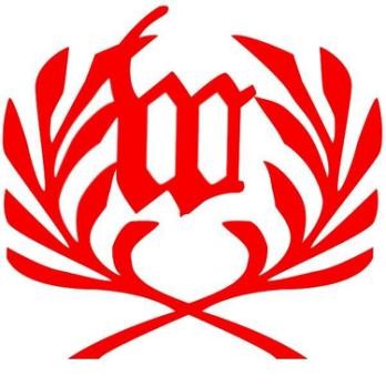 Laser World Company